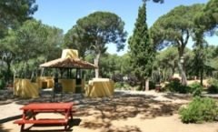 Parque Vigil de Quiñones - marbella para niños y familias