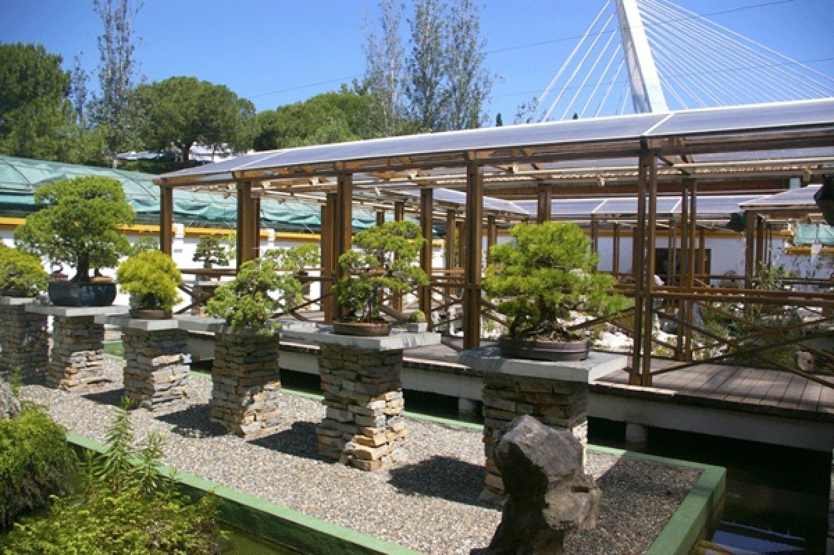 Parque arroyo de la represa en marbella. Niños y familias.